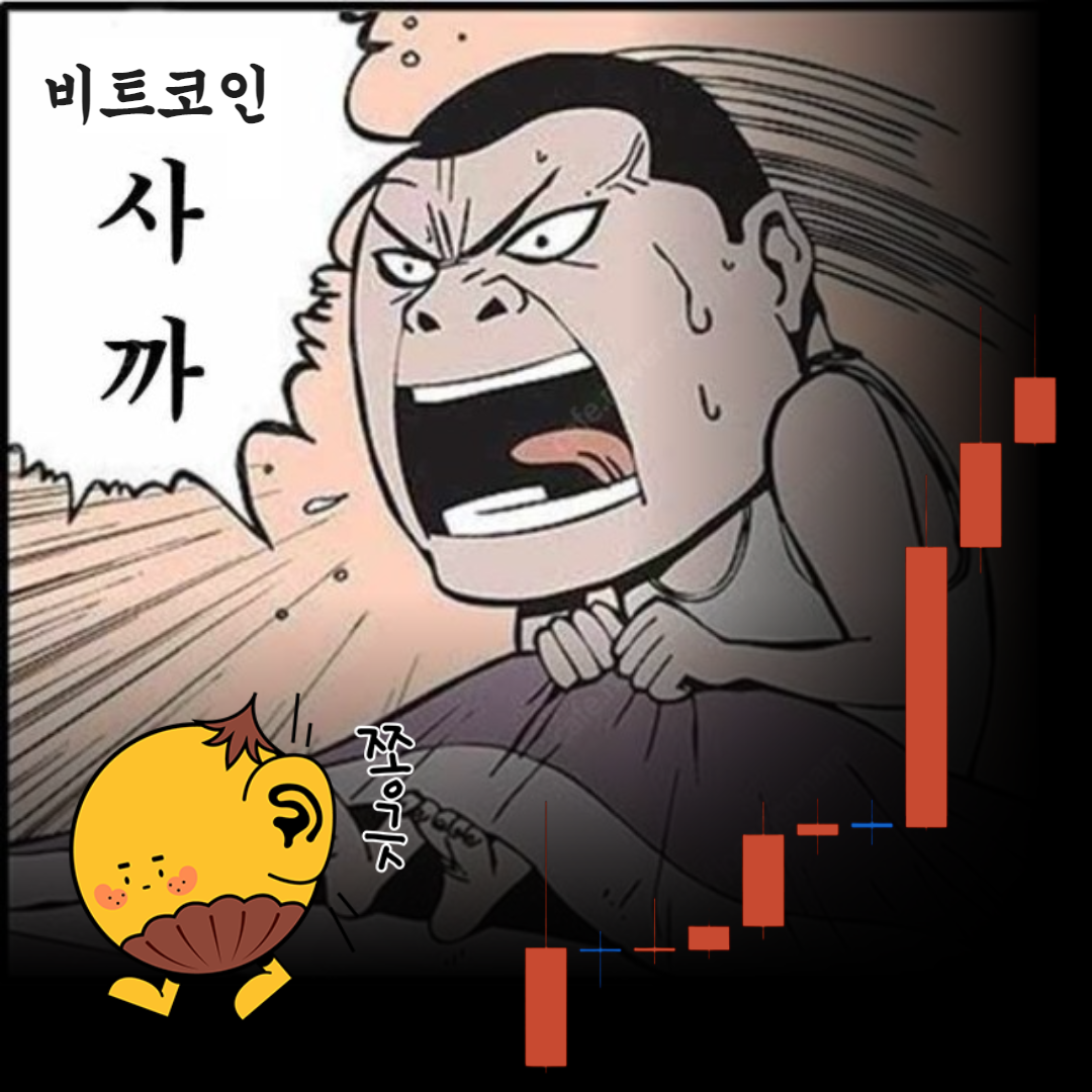 비트코인 떡상!📈 지금, 사요? > 지난 코넛 다시 보기 | 코넛 - 오독오독 고소한 코인 뉴스레터
