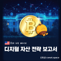 미국이 말아온 -코인판- 룰북- 무려 168페이지