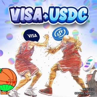 보자 보자 VISA 보자 + USDC 같이 보자