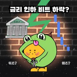 금리인하-비트하락-코넛