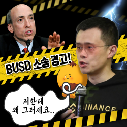 SEC , 팍그냥! 팍소스! BUSD 소송 경고?