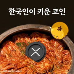 한국인이키운-코인-코넛