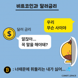 비트코인 bitcoin 달러 금리 코넛